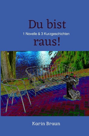 Du bist raus! von Braun,  Karin