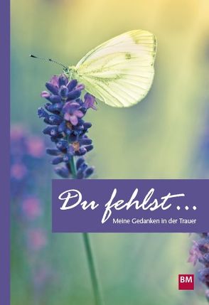 Du fehlst … von Meier,  Jürg