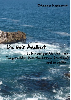 Du, mein Adelbert — 20 Kürzestgeschichten über Taugenichtse, Urzeitheldinnen, Steitköpfe und so weiter … von Kozinowski,  Johannes