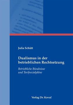 Dualismus in der betrieblichen Rechtsetzung von Schütt,  Julia