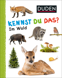 Duden 12+: Kennst du das? Im Wald