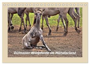 Dülmener Wildpferde im Münsterland (Tischkalender 2024 DIN A5 quer), CALVENDO Monatskalender von Hackstein,  Bettina