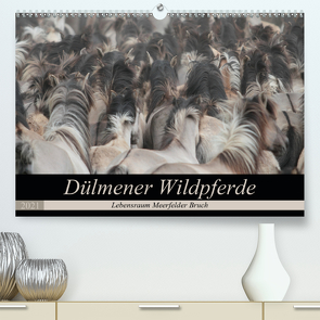 Dülmener Wildpferde – Lebensraum Meerfelder Bruch (Premium, hochwertiger DIN A2 Wandkalender 2021, Kunstdruck in Hochglanz) von Mielewczyk,  Barbara