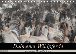 Dülmener Wildpferde – Lebensraum Meerfelder Bruch (Tischkalender 2020 DIN A5 quer) von Mielewczyk,  Barbara