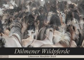 Dülmener Wildpferde – Lebensraum Meerfelder Bruch (Wandkalender 2019 DIN A2 quer) von Mielewczyk,  Barbara