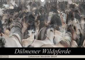 Dülmener Wildpferde – Lebensraum Meerfelder Bruch (Wandkalender 2020 DIN A3 quer) von Mielewczyk,  Barbara