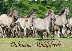 Dülmener Wildpferde (Wandkalender 2020 DIN A2 quer) von Menden,  Katho