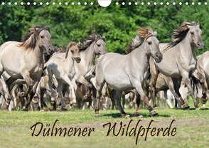 Dülmener Wildpferde (Wandkalender 2020 DIN A4 quer) von Menden,  Katho