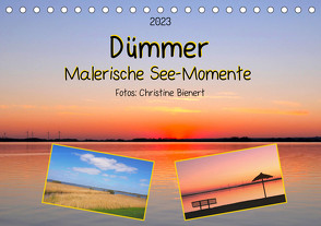 Dümmer, Malerische See-Momente (Tischkalender 2023 DIN A5 quer) von Bienert,  Christine