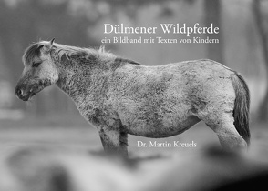 Dülmener Wildpferde von Kreuels,  Martin