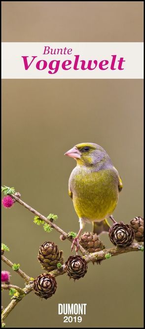 DuMonts Bunte Vogelwelt 2019 – DuMont Wandkalender – mit den wichtigsten Feiertagen – Hochformat 30,0 x 68,5 cm von DUMONT Kalenderverlag, Fotografen,  verschiedenen