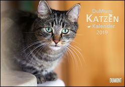 DuMonts Katzenkalender 2019 – Broschürenkalender – Wandkalender – mit Schulferienterminen – Format 42 x 29 cm von DUMONT Kalenderverlag, Jorjan,  Jette