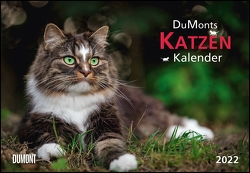 DUMONTS Katzenkalender 2022 – Broschürenkalender – Wandkalender – mit Schulferienterminen – Format 42 x 29 cm von Jorjan,  Jette