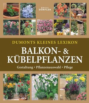 Dumonts kleines Lexikon Balkon- & Kübelpflanzen von Hackstein,  Hermann, Wehmayer,  Wota