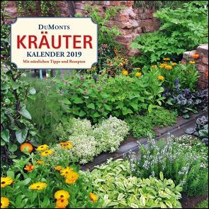 DuMonts Kräuter-Kalender 2019 – Broschürenkalender – mit Texten und Rezepten – Format 30 x 30 cm von Bühring,  Ursel, DUMONT Kalenderverlag, Schneider,  Jutta, Will,  Michael