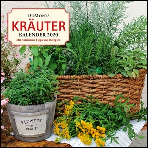 DuMonts Kräuter-Kalender 2020 – Broschürenkalender – mit Texten und Rezepten – Format 30 x 30 cm von Bühring,  Ursel, DUMONT Kalenderverlag, FloraPress