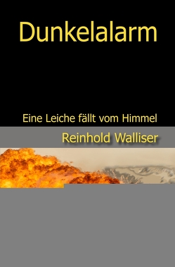 Dunkelalarm von Walliser,  Reinhold