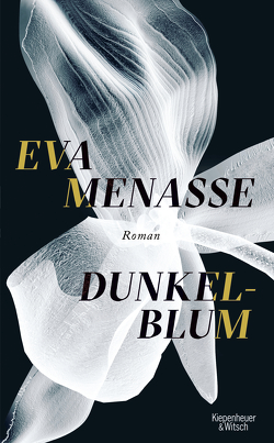 Dunkelblum von Menasse,  Eva