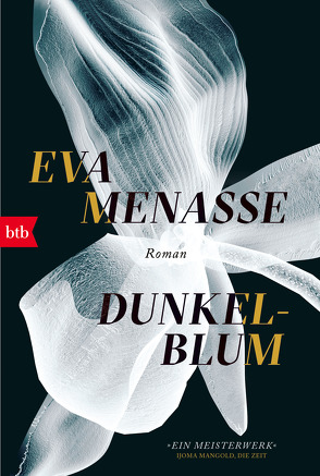 Dunkelblum von Menasse,  Eva