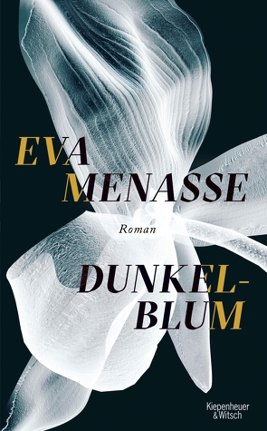 Dunkelblum von Menasse,  Eva