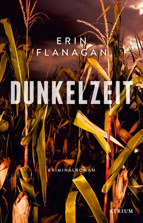 Dunkelzeit von Flanagan,  Erin, Jacobs,  Steffen