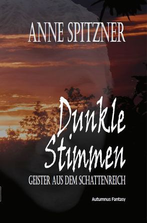 Dunkle Stimmen von Spitzner,  Anne