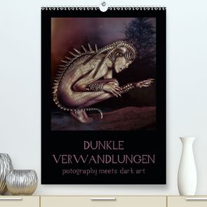 Dunkle Verwandlungen – photography meets dark art (Premium, hochwertiger DIN A2 Wandkalender 2020, Kunstdruck in Hochglanz) von Art,  Ravienne