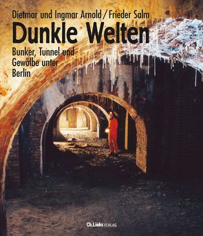 Dunkle Welten von Arnold,  Dietmar, Arnold,  Ingmar, Salm,  Frieder