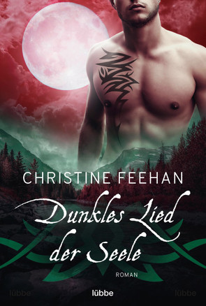 Dunkles Lied der Seele von Feehan,  Christine, Nirschl,  Anita