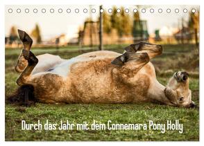 Durch das Jahr mit dem Connemara Pony Holly (Tischkalender 2024 DIN A5 quer), CALVENDO Monatskalender von Pfeifer,  Romy