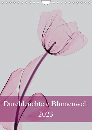 Durchleuchtete Blumenwelt 2023 (Wandkalender 2023 DIN A4 hoch) von Reba,  Aleksandar