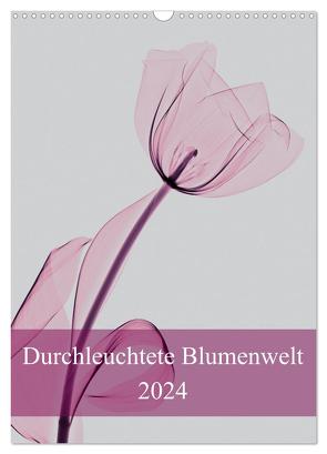 Durchleuchtete Blumenwelt 2024 (Wandkalender 2024 DIN A3 hoch), CALVENDO Monatskalender von Reba,  Aleksandar