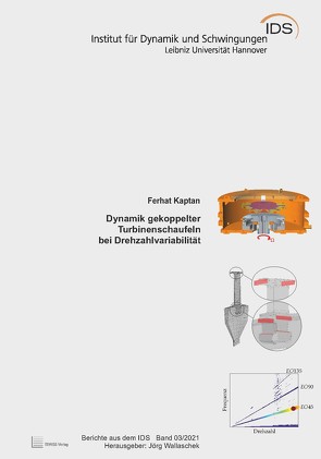 Dynamik gekoppelter Turbinenschaufeln bei Drehzahlvariabilität von Kaptan,  Ferhat, Wallaschek,  Jörg