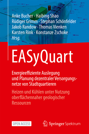 EASyQuart – Energieeffiziente Auslegung und Planung dezentraler Versorgungsnetze von Stadtquartieren von Bucher,  Anke, Grimm,  Rüdiger, Randow,  Jakob, Rink,  Karsten, Schönfelder,  Stephan, Shao,  Haibing, Vienken,  Thomas, Zschoke,  Konstanze