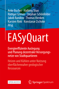 EASyQuart – Energieeffiziente Auslegung und Planung dezentraler Versorgungsnetze von Stadtquartieren von Bucher,  Anke, Grimm,  Rüdiger, Randow,  Jakob, Rink,  Karsten, Schönfelder,  Stephan, Shao,  Haibing, Vienken,  Thomas, Zschoke,  Konstanze