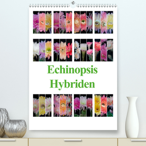 Echinopsis Hybriden (Premium, hochwertiger DIN A2 Wandkalender 2021, Kunstdruck in Hochglanz) von Gierok,  Steffen