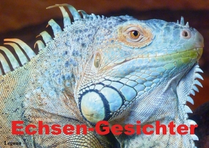 Echsen-Gesichter (Posterbuch DIN A2 quer) von Stanzer,  Elisabeth