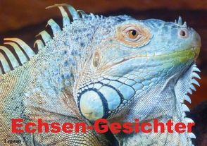 Echsen-Gesichter (Tischaufsteller DIN A5 quer) von Stanzer,  Elisabeth