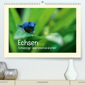 Echsen – Schuppige Überlebenskünstler (Premium, hochwertiger DIN A2 Wandkalender 2021, Kunstdruck in Hochglanz) von Rinke,  Andreas