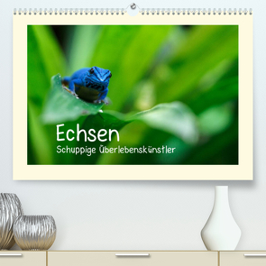 Echsen – Schuppige Überlebenskünstler (Premium, hochwertiger DIN A2 Wandkalender 2023, Kunstdruck in Hochglanz) von Rinke,  Andreas