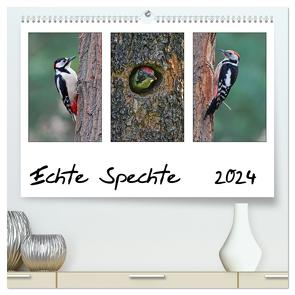 Echte Spechte (hochwertiger Premium Wandkalender 2024 DIN A2 quer), Kunstdruck in Hochglanz von Wolf,  Gerald