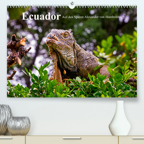 Ecuador – Auf den Spuren Alexander von Humboldts (Premium, hochwertiger DIN A2 Wandkalender 2023, Kunstdruck in Hochglanz) von Müller,  Harry