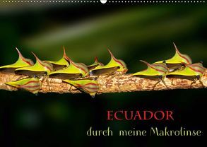 Ecuador durch meine Makrolinse (Wandkalender 2019 DIN A2 quer) von Schulz,  Eerika