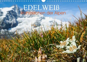 Edelweiß – Wahrzeichen der Alpen (Wandkalender 2022 DIN A3 quer) von Schwatzfischer,  Miriam