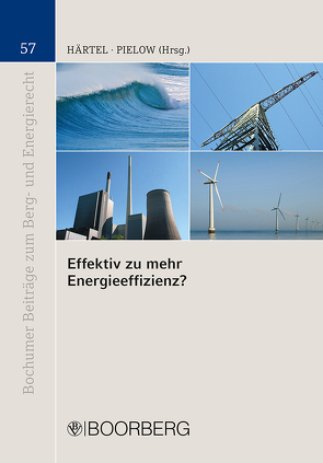 Effektiv zu mehr Energieeffizienz? von Härtel,  Ines, Pielow,  Johann-Christian