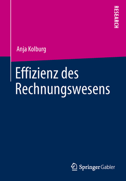 Effizienz des Rechnungswesens von Kolburg,  Anja