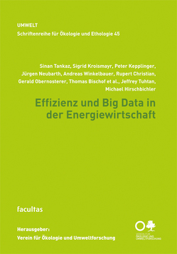 Effizienz und Big Data in der Energiewirtschaft von Bayer,  Henrike, Christian,  Rupert, Hirschbichler,  Michael, Hirschmugl-Fuchs,  Monika, Kepplinger,  Peter, Neubarth,  Jürgen, Obernosterer,  Gerald, Preißinger,  Markus, Schletterer,  Martin, Velenderic et al.,  Michele, Winkelbauer,  Andreas