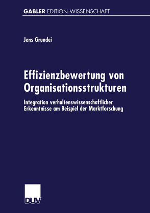 Effizienzbewertung von Organisationsstrukturen von Grundei,  Jens