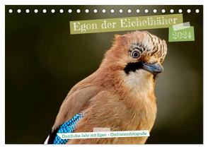 Egon der Eichelhäher – Durch das Jahr mit Egon – von Ostfriesenfotografie (Tischkalender 2024 DIN A5 quer), CALVENDO Monatskalender von Worch - Ostfriesenfotografie,  Christina