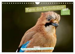 Egon der Eichelhäher – Durch das Jahr mit Egon – von Ostfriesenfotografie (Wandkalender 2024 DIN A4 quer), CALVENDO Monatskalender von Worch - Ostfriesenfotografie,  Christina